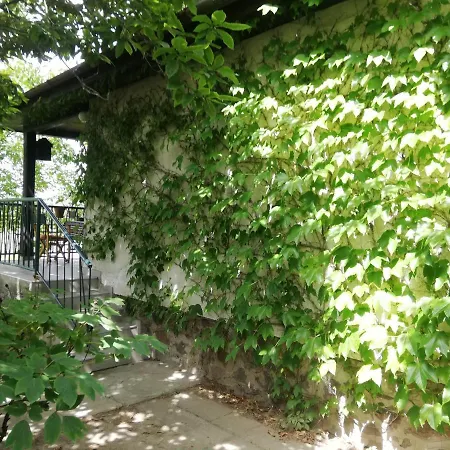 Bocke House Holiday home Novi Sad