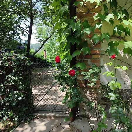 Holiday home Bocke House Novi Sad