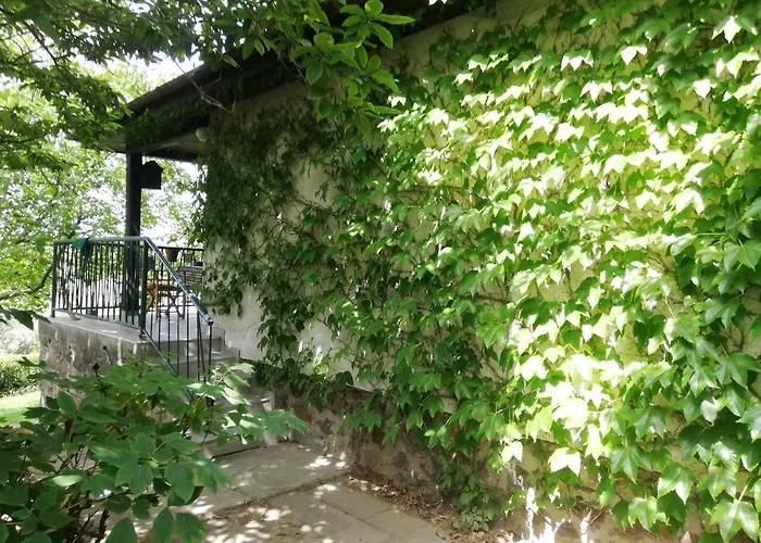 Bocke House 펜션 노비사드