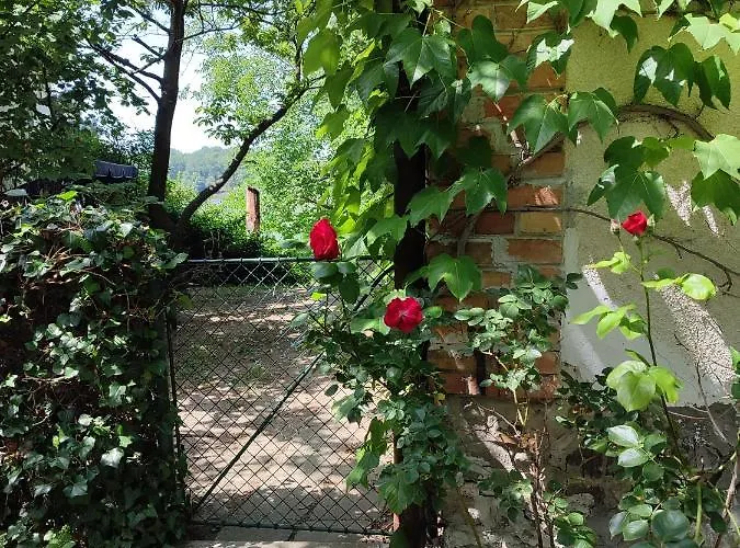 펜션 Bocke House 노비사드