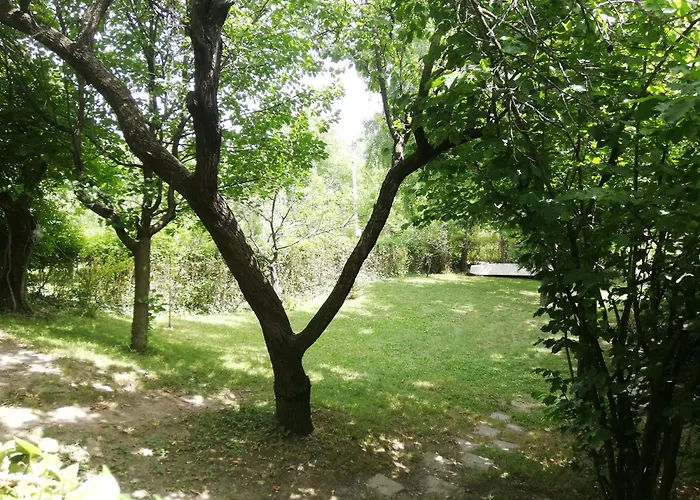 Bocke House 펜션 *