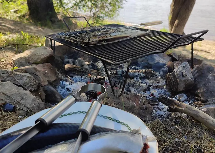 Bocke House 펜션 노비사드