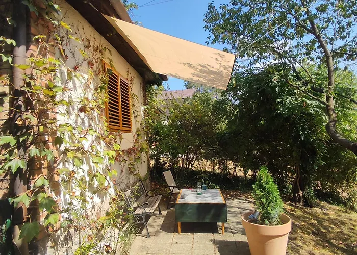 펜션 Bocke House 노비사드