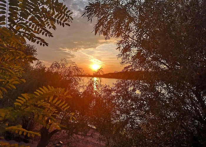 Bocke House 펜션 노비사드